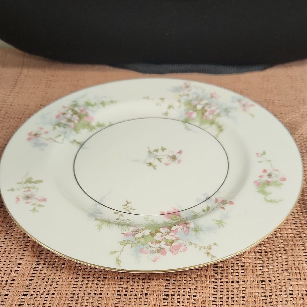 Theodore Haviland Apple Blossom Floral Salad Plate 8"